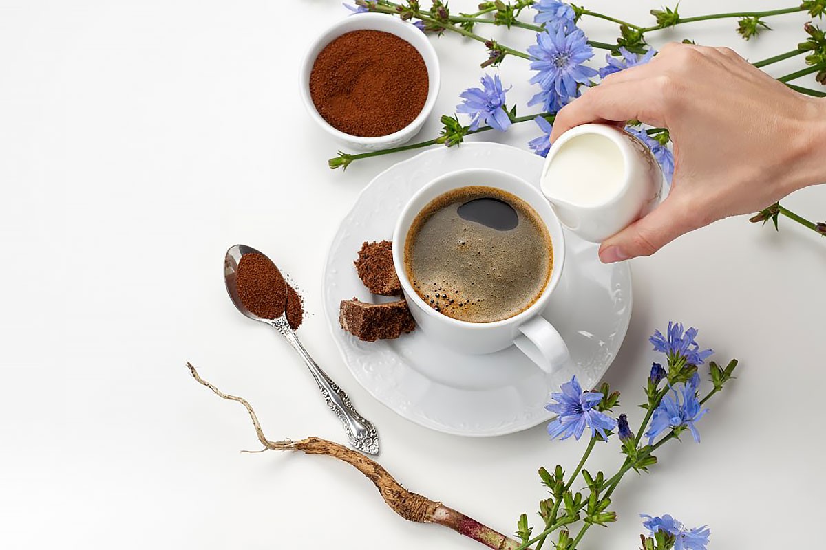 Кофе и цикорий при гепатите С — полезны или вредны напитки?