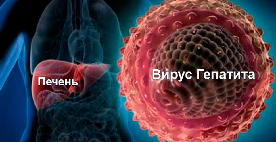 Поражение печени вирусным гепатитом