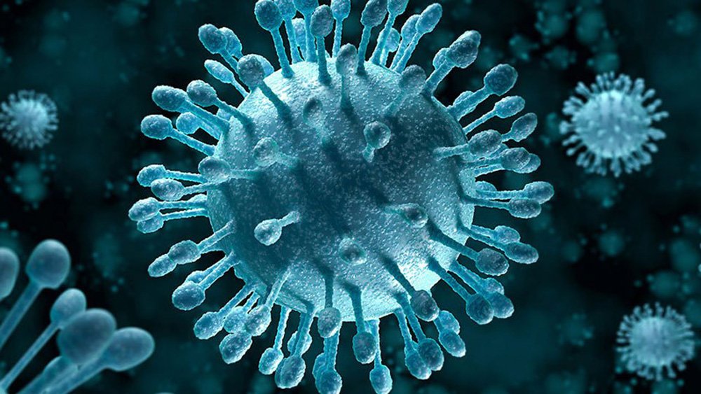 Мифы о передаче вируса HCV
