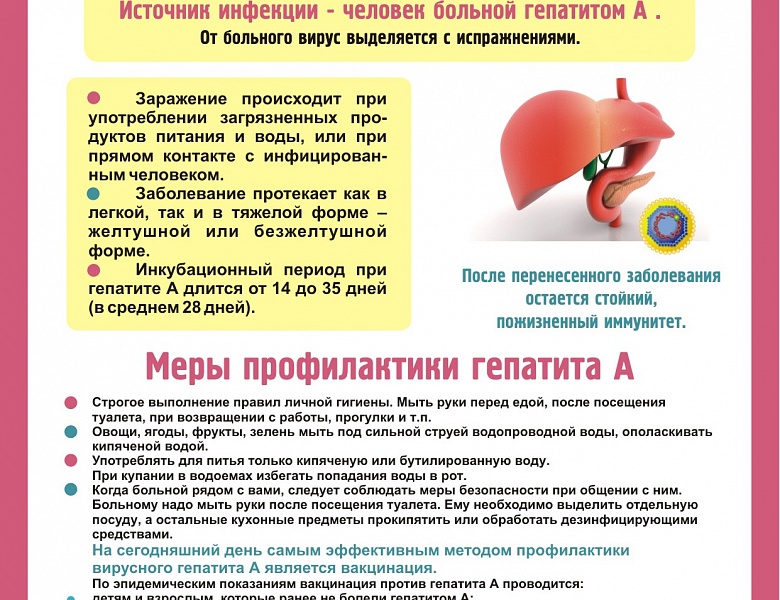 Профилактика гепатита С при контакте с больным