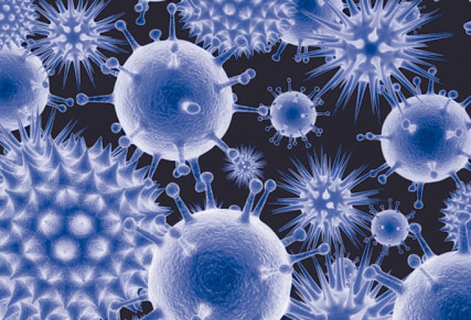 Устойчивость и продолжительность жизни вируса гепатита С во внешней среде