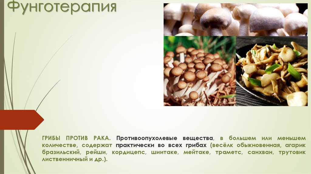Использование грибов при гепатите в пищу и в качестве лекарства
