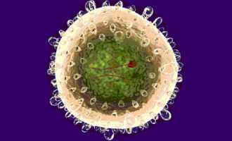 Что такое вирусный гепатит В, его признаки и лечение