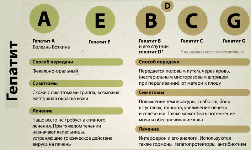 Что такое вирусный гепатит В, его признаки и лечение