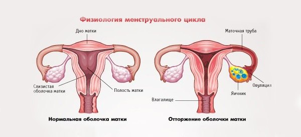 Менструация во время болезни