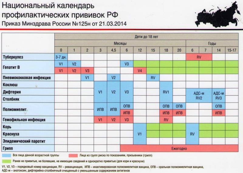 Календарь прививок РФ